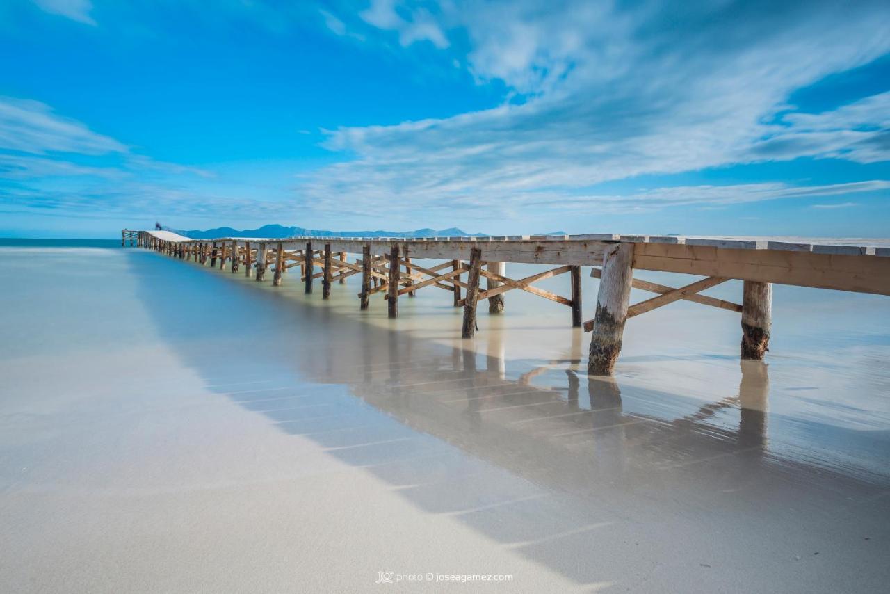 Tony Port de Alcudia (Mallorca)