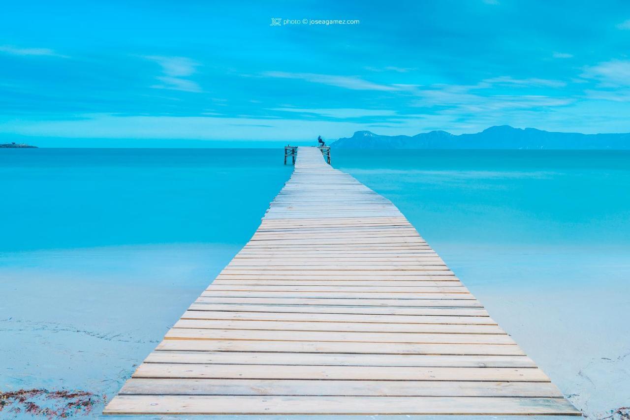 Tony Port de Alcudia (Mallorca)