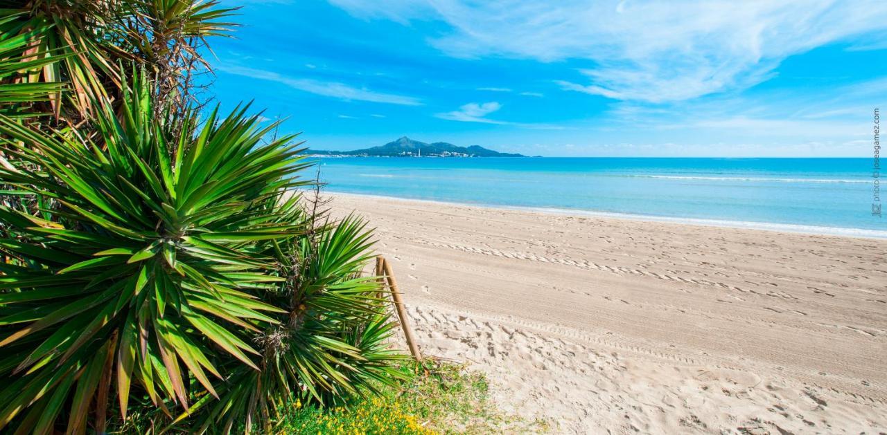 Apartment Tony Port de Alcudia (Mallorca)